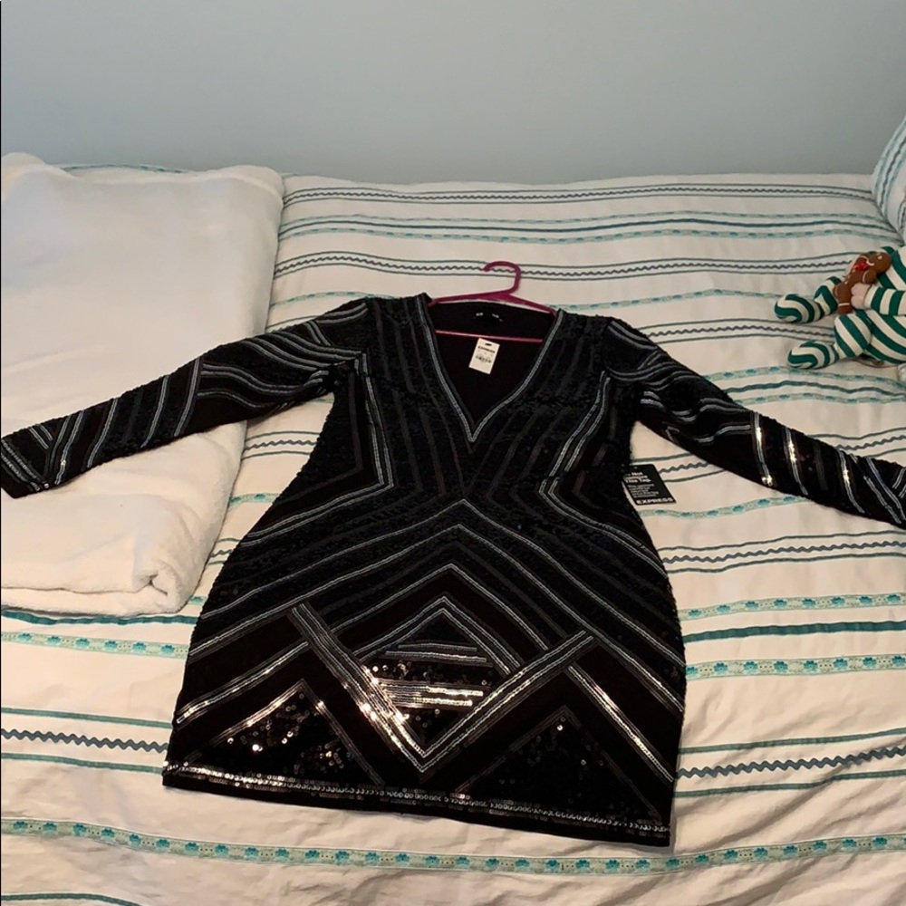 Express Form Fitting Sparkly Long Sleeved Dress L
